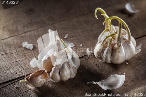 Image of Organic garlic on wood