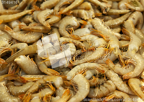 Image of Prawns in a market