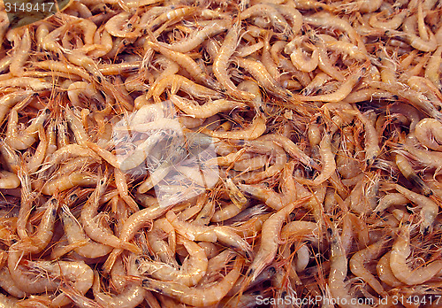 Image of Prawns in a market