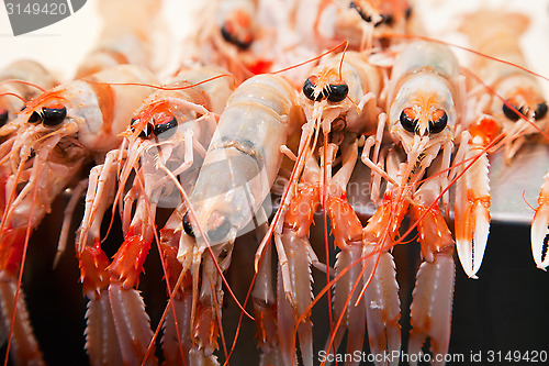 Image of Fresh crawfish in a market