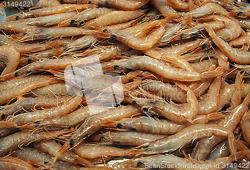 Image of Prawns in a market