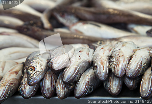 Image of Fresh fish on ice