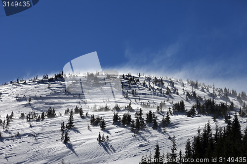 Image of Winter Carpathian Mountains at sun windy day