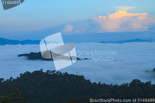 Image of sea of fog with forests as foreground