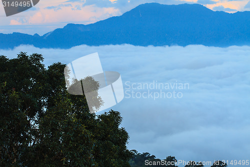 Image of sea of fog with forests as foreground