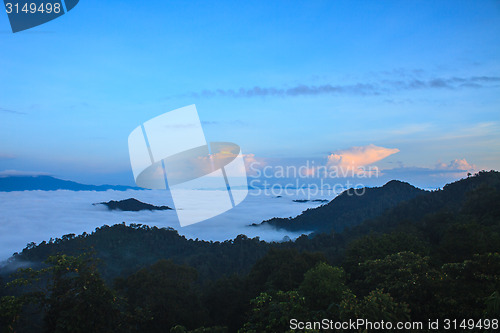 Image of sea of fog with forests as foreground