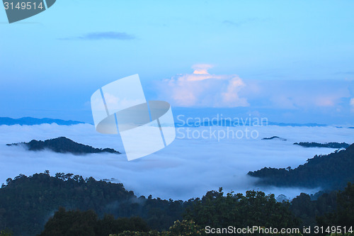 Image of sea of fog with forests as foreground