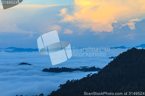 Image of sea of fog with forests as foreground