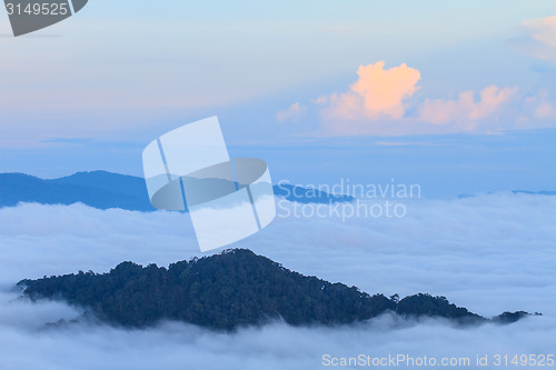 Image of sea of fog with forests as foreground