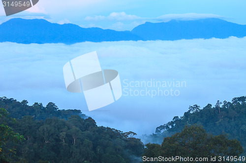 Image of sea of fog with forests as foreground