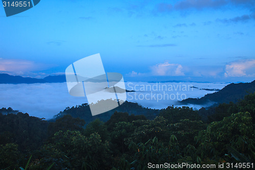 Image of sea of fog with forests as foreground