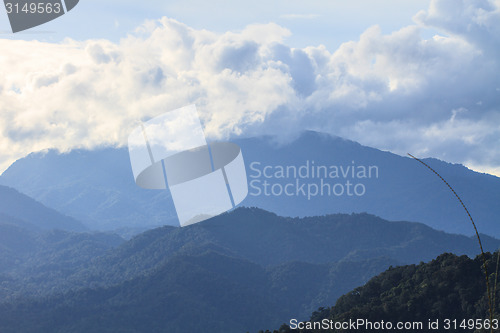 Image of green mountains and forest on top veiw