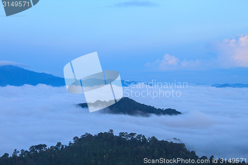 Image of sea of fog with forests as foreground