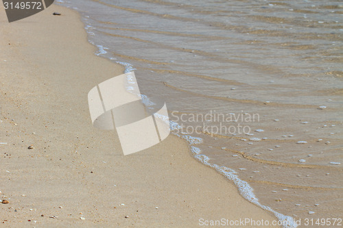 Image of Soft wave on the sandy beach