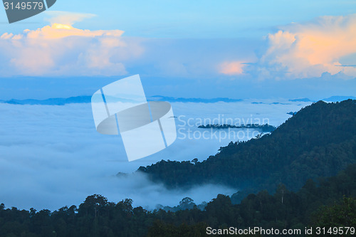 Image of sea of fog with forests as foreground