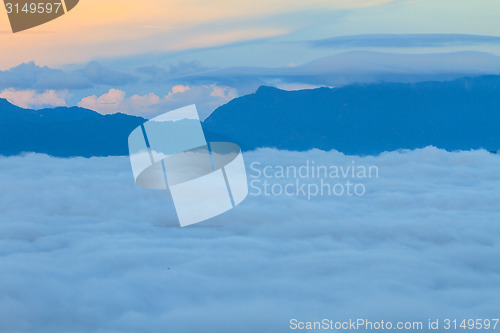 Image of sea of fog with forests as foreground