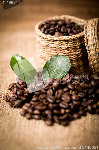 Image of pile of fresh beans and green leaves and spoon in jar