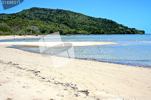 Image of nosy be  beach seaweed in indian ocean madagascar  people   boat
