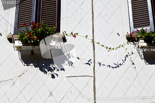 Image of red terrace europe      in  the milano   window  flower