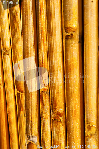 Image of   abstract cross bamboo in the temple kho   south  