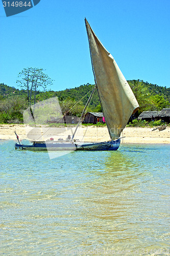 Image of pirogue beach seaweed   nosy be       sky and rock
