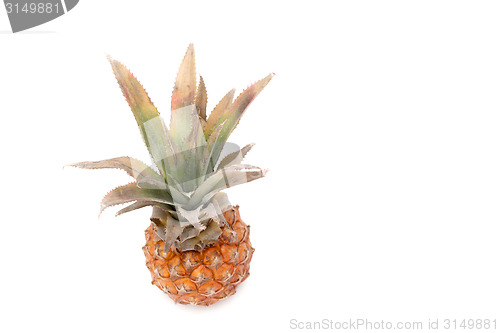 Image of fresh pineapple on white background