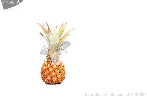 Image of fresh pineapple on white background