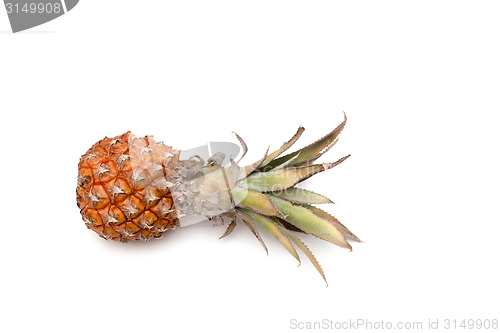 Image of fresh pineapple on white background