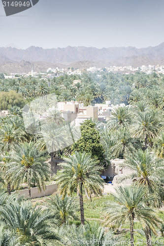 Image of View from fort Nizwa