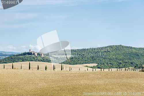 Image of Beautiful landscape Tuscany