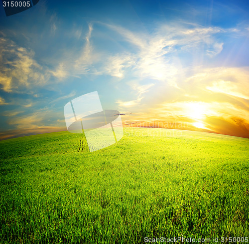 Image of Field under clouds