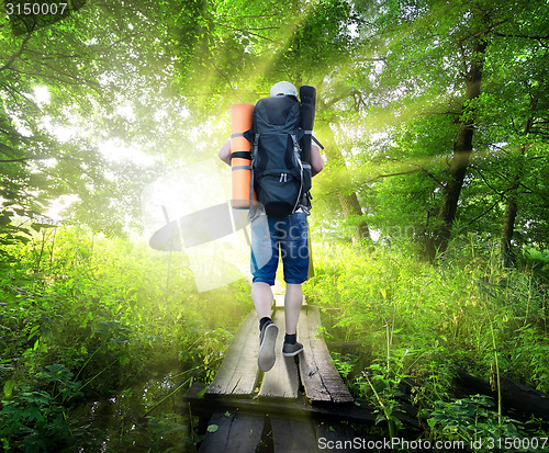 Image of Traveller on bridge