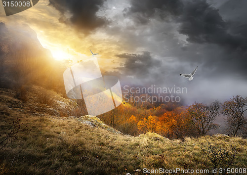 Image of Birds and clouds