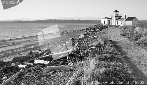 Image of Driftwood Beach West Point Lighthouse Cape Jetty Discovery Park 