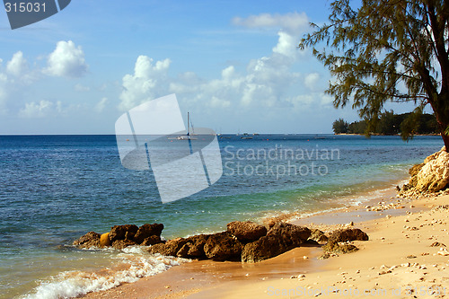 Image of Westcoast Barbados