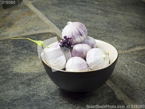 Image of garlic