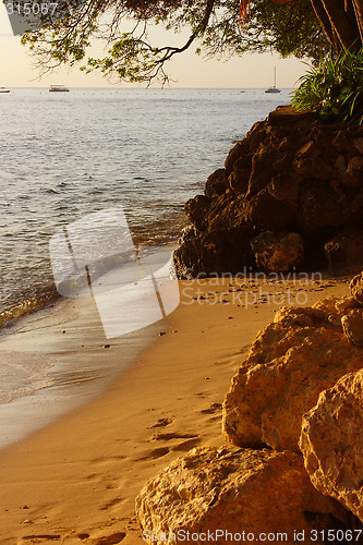 Image of Westcoast Barbados