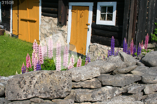 Image of Old farmstead