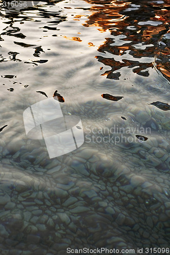 Image of Water gold reflection
