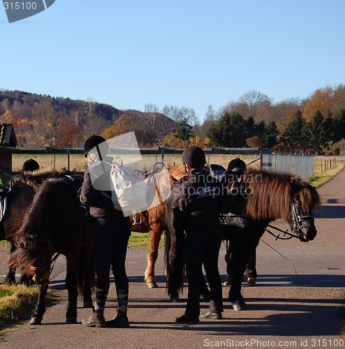 Image of Go on horseback