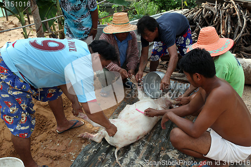 Image of ASIA THAILAND ISAN AMNAT CHAROEN