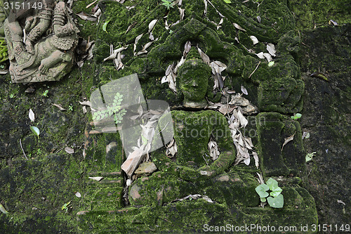 Image of ASIA THAILAND CHIANG MAI WAT PHAN TAO