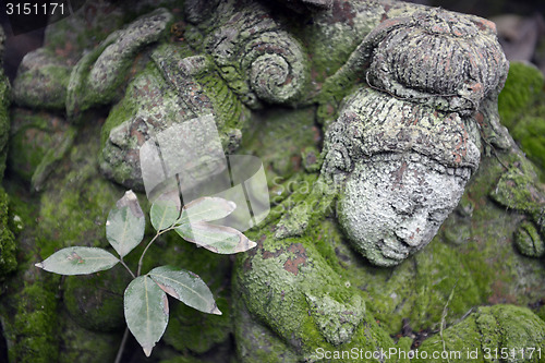 Image of ASIA THAILAND CHIANG MAI WAT PHAN TAO