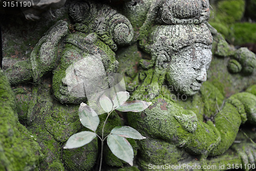 Image of ASIA THAILAND CHIANG MAI WAT PHAN TAO