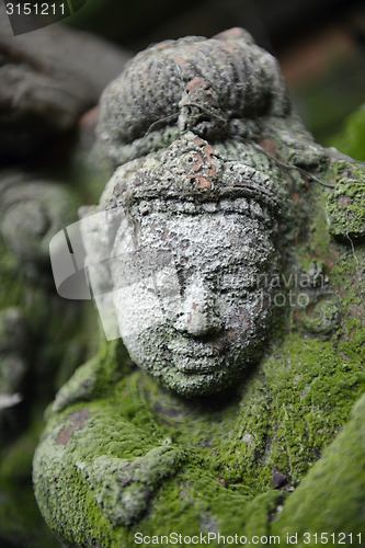 Image of ASIA THAILAND CHIANG MAI WAT PHAN TAO