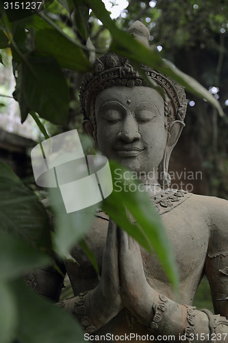 Image of ASIA THAILAND CHIANG MAI WAT PHAN TAO