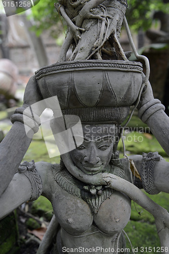 Image of ASIA THAILAND CHIANG MAI WAT PHAN TAO