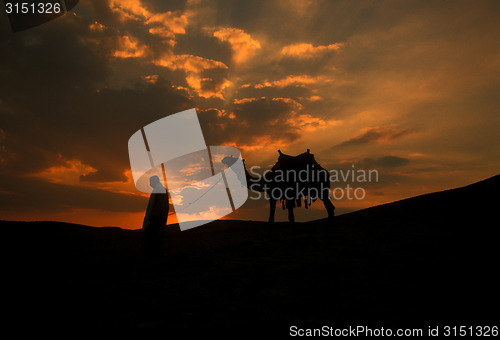 Image of AFRICA EGYPT SAHARA SIWA