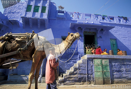 Image of ASIA INDIA RAJASTHAN JODPUR