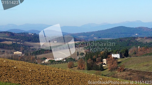 Image of 
Wineyard in the winter 					